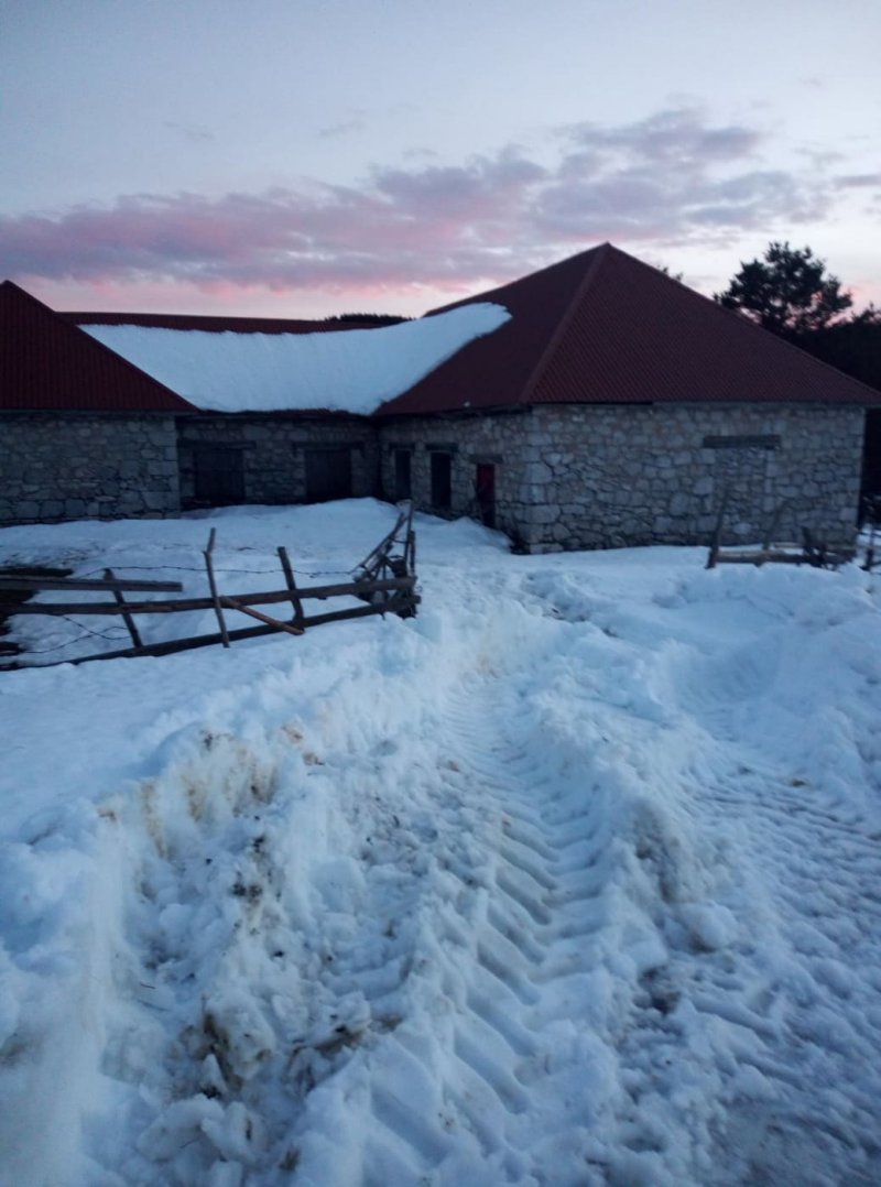 1463453252643774983776936064289485482573468n