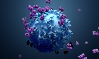 Koliko mogu da prežive čestice koronavirusa na različitim površinama?