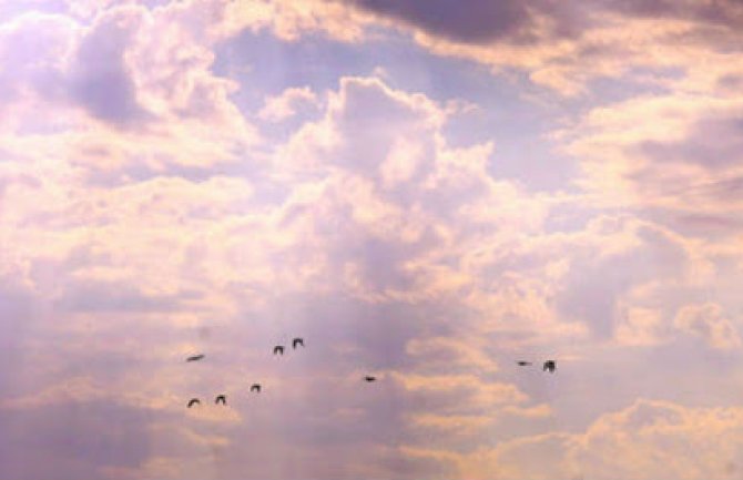 Sunčana nedjelja sa vjetrom, do 18 stepeni