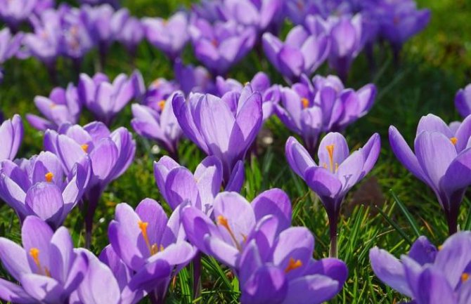 Kako nas vrijeme očekuje prvog martovskog dana