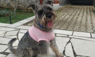 Napad na psa i vlasnicu kod Tivta