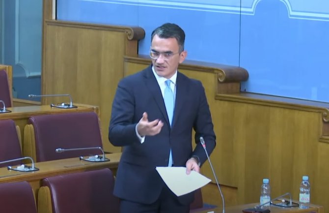 Leposavić: Vlada ne pada zbog razrješenja njenog člana koji je sposoban, nego kada ostali to nisu