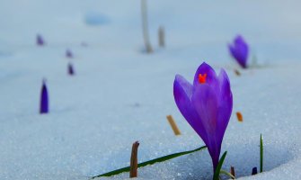 Poslijepodne kiša, na sjeveru snijeg