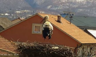 Stigle rode u Berane (VIDEO)