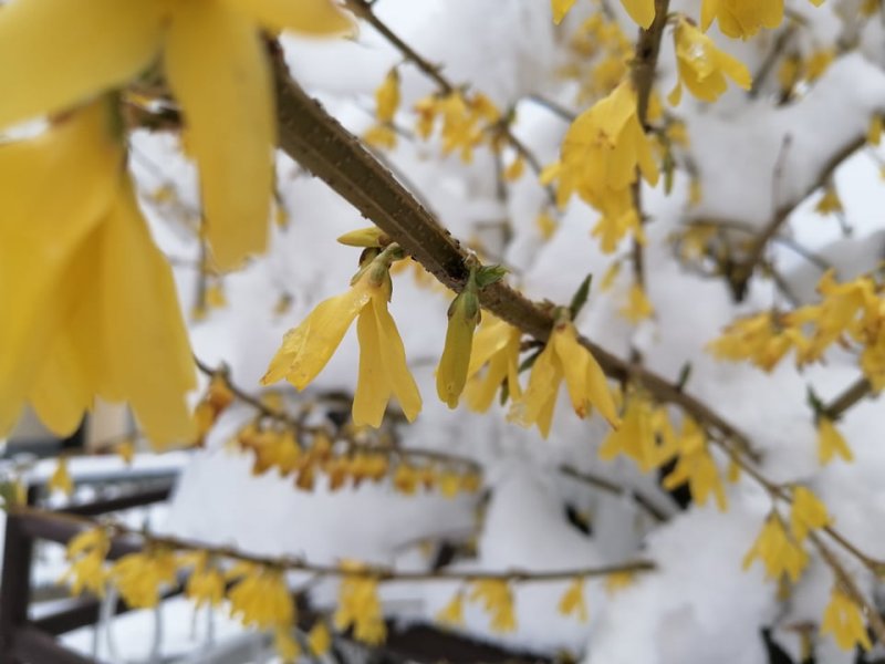 1699617591646814688432168153055896620614121n