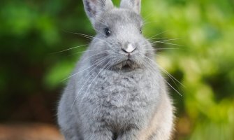 Pretežno sunčano za dane vikenda, do 29 stepeni 