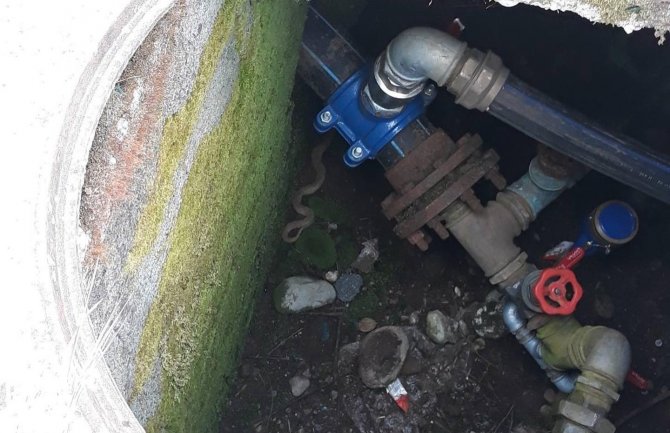 Služba zaštite i spašavanja Glavnog grada uklonila pet zmija