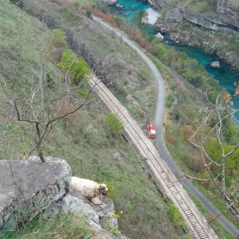 1756575688091002000072381395804987043114193n