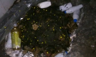 Spriječen prekogranični krivolov na Skadarskom jezeru