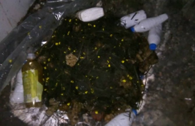 Spriječen prekogranični krivolov na Skadarskom jezeru