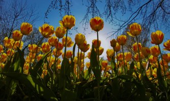 Promjenljivo oblačno, ponegdje kiša 