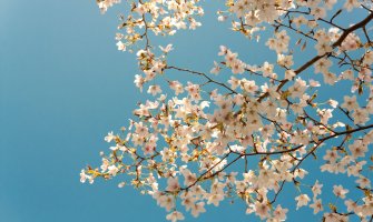 Promjenljivo oblačno, do 25 stepeni 