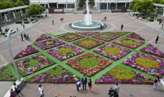 Prvi cvjetni tepih u Crnoj Gori u čast Dana Evrope