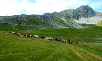  Očistimo Sinjajevinu i Crnu Goru: Čista država - čist obraz!