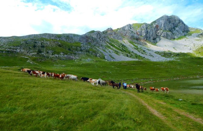  Očistimo Sinjajevinu i Crnu Goru: Čista država - čist obraz!
