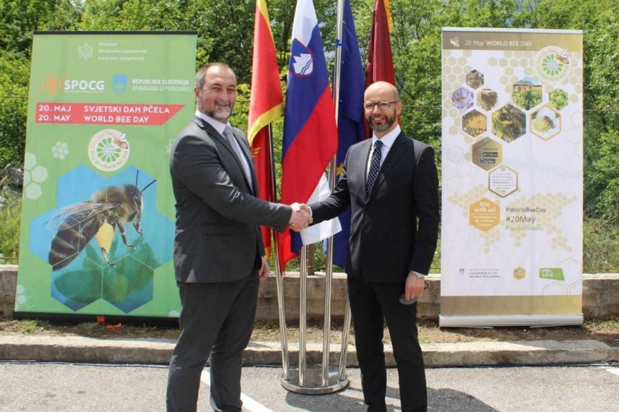 1621530103hlnnab8rqhzqo4hri1920x1280