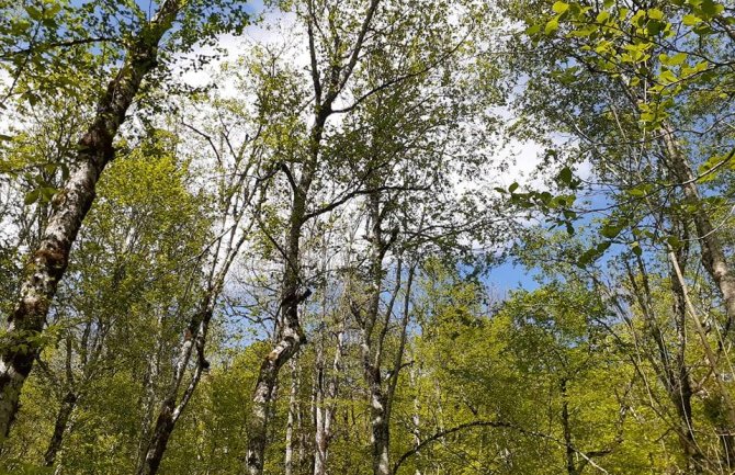 Evo kakvo će vrijeme obilježiti početak sedmice