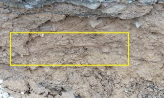 BP: Pronađeni skeleti 15 lica