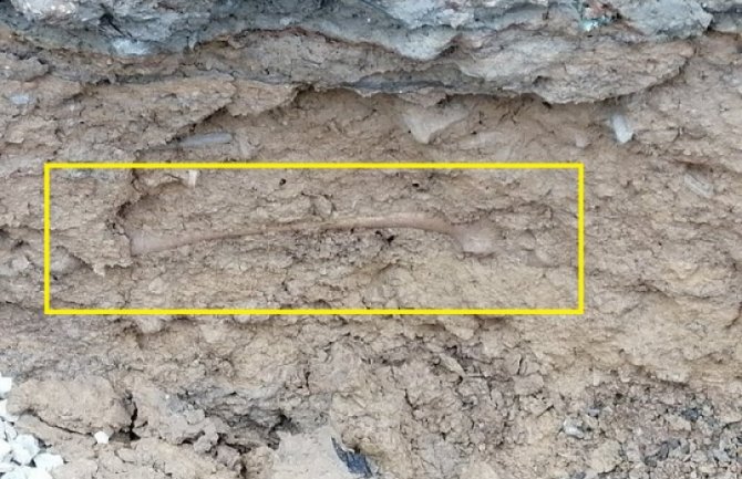 BP: Pronađeni skeleti 15 lica