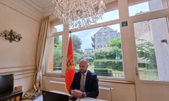 Radulović: Regionalna saradnja najmoćniji alat u saniranju posljedica COVID-19