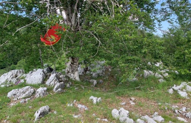 Prijestonica pokrenula proceduru za postavljanje spomen ploče porodici Zvicer