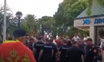 Herceg Novi: Protest zbog Malagurskog, policija spriječila incident