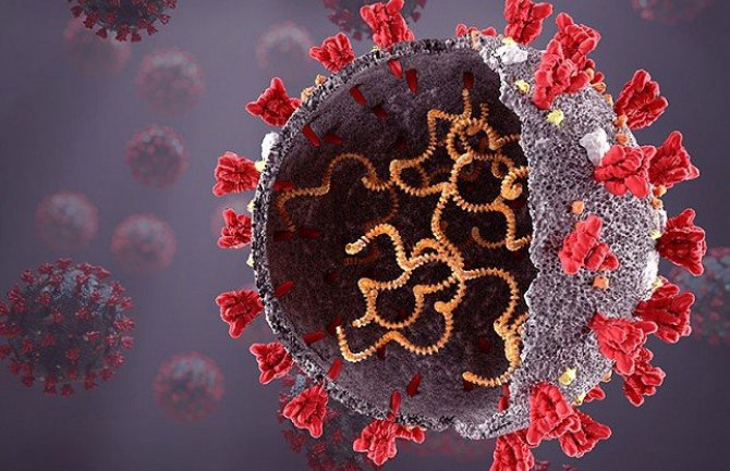 U svijetu od koronavirusa umrlo više od 4.5 miliona ljudi