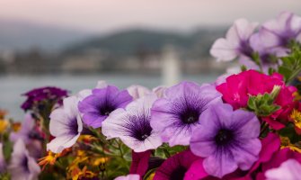 Promjenljivo, mjestimično kiša i pljuskovi