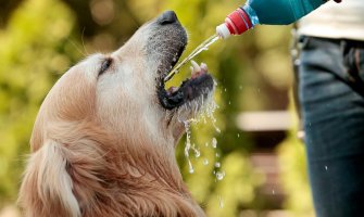 Toplotni talas i velike vrućine će trajati do kraja jula, noću 25 stepeni