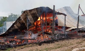 Užas u Nikšiću: Požar uništio farmu, stradalo oko 300 koza sa jaradima