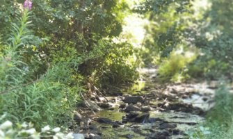 Obećanja ispunjena, raskinuti svi ugovori o mHE za koje se našao zakonski osnov, ostali se preispituju