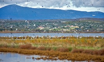 Riješeno pitanje vlasništva Ulcinjske solane je pobjeda za prirodu