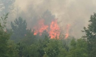 Od vatre odbranili kuće kod Nikšića, lokalizovani požari