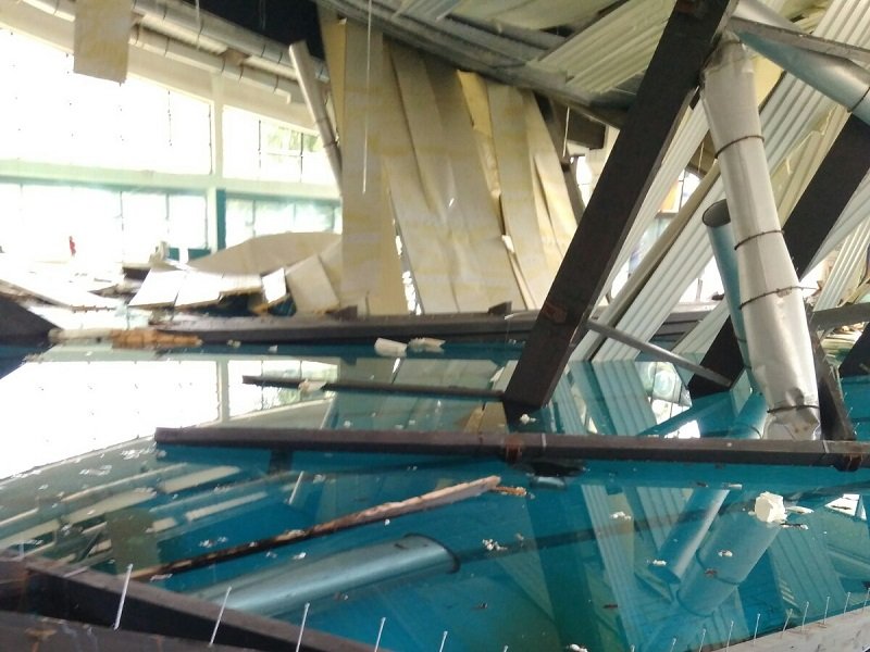 urusenegredenabazenu