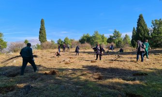 Glavni grad organizuje masovnu akciju pošumljavanja Gorice