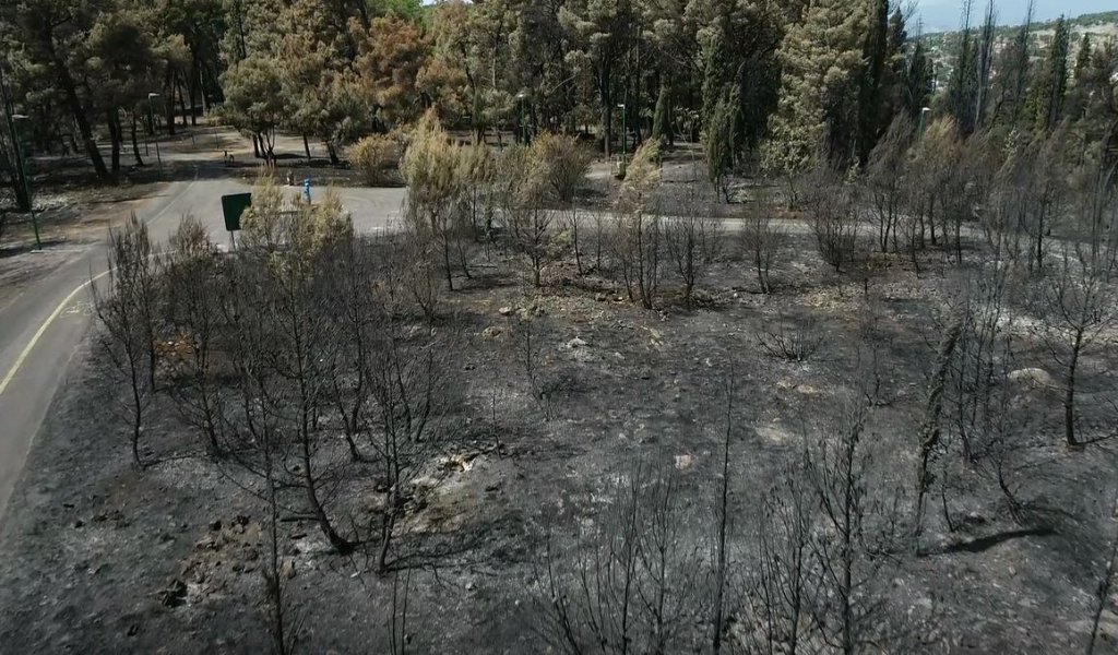 BrdoGoricanakonpoara8