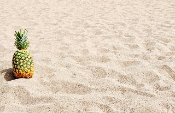 Danas promjenljivo oblačno, mjestimično kiša 