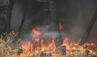 Janković: Podgorici potreban registar piromana