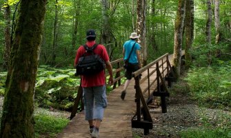 Zbog olujnog vjetra zatvoren NP Biogradska gora