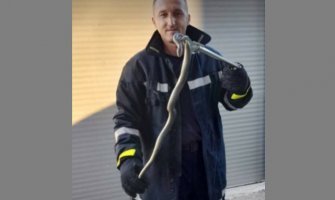 PV: Zmija u motoru automobila 