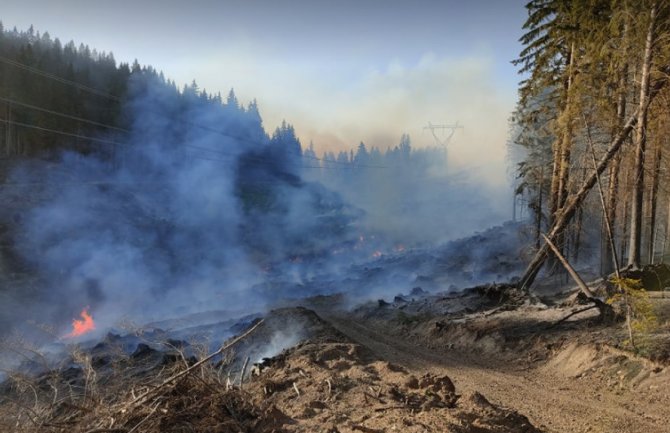 Eskalirao požar na Bunetini kod Pljevalja 