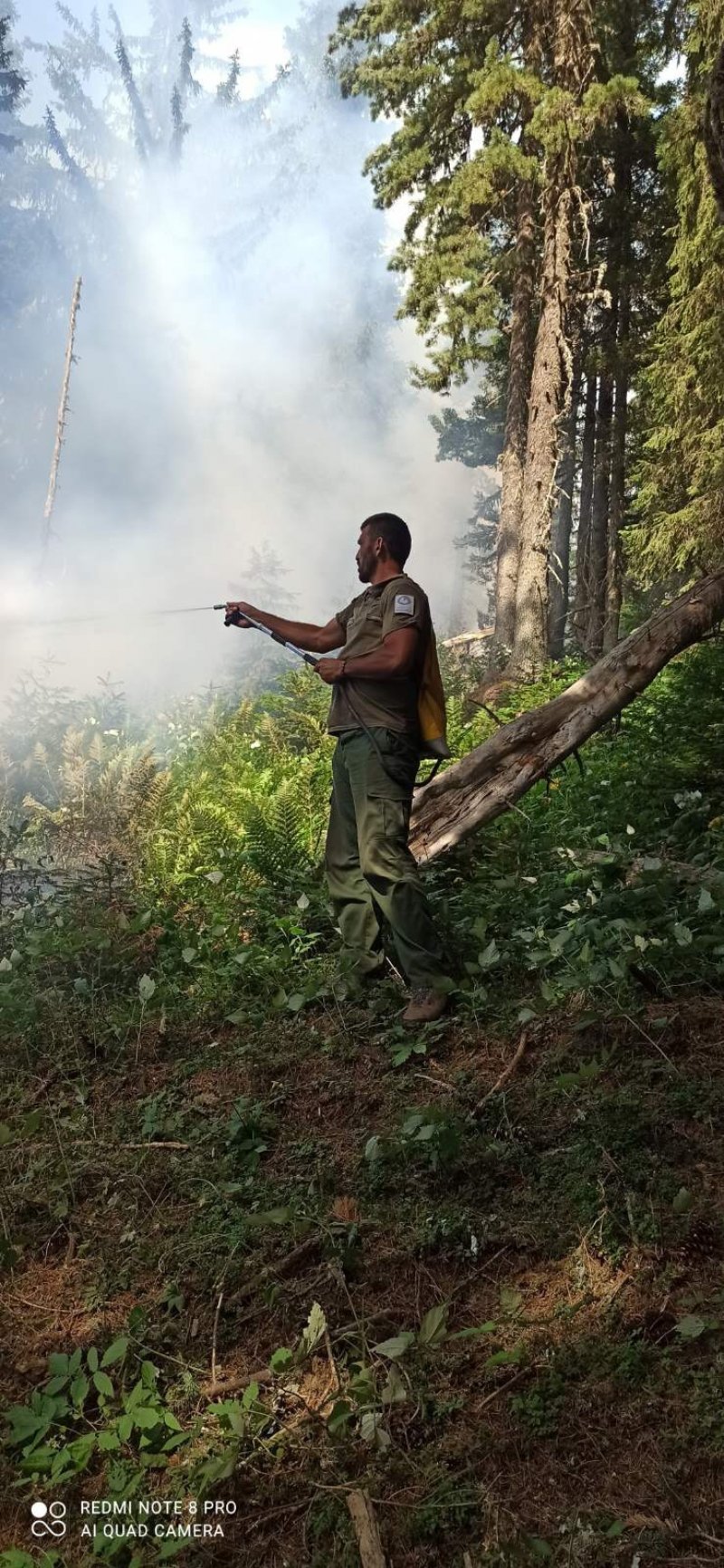 lokalizovanjepozaraunpprokletije