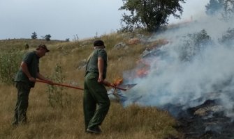 Apel svim nadležnim organima da se hitno uključe u gašenje požara u NP Durmitor