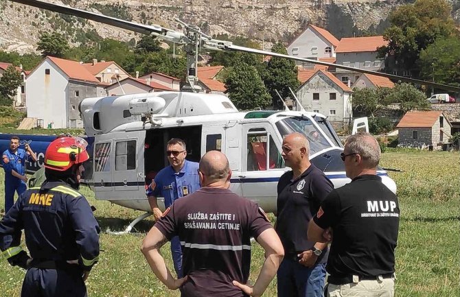 Cetinjski vatrogasci na Lovćenu brane borovu šumu od vatrene stihije