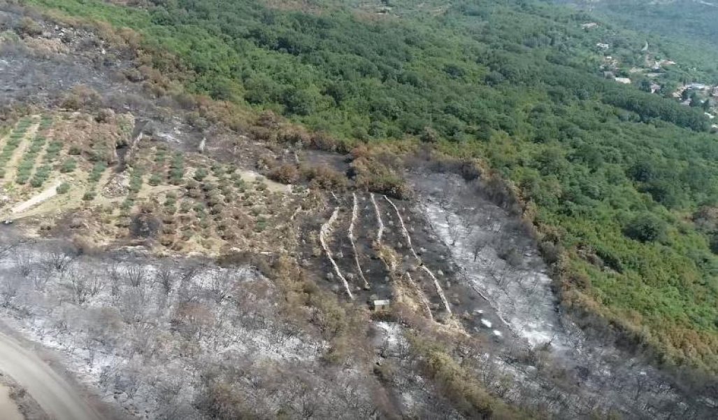 Mrkojeviinakonpoara6