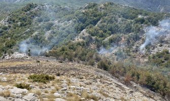 Spremno i profesionalno odgovorili na požare, nije izgubljen nijedan život, nije izgorio nijedan stambeni objekat