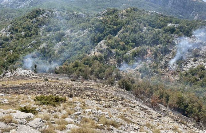 Spremno i profesionalno odgovorili na požare, nije izgubljen nijedan život, nije izgorio nijedan stambeni objekat