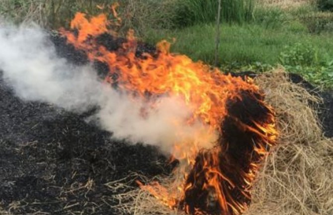 Berane: Piromani zapalili sedam tona sijena, šteta velika