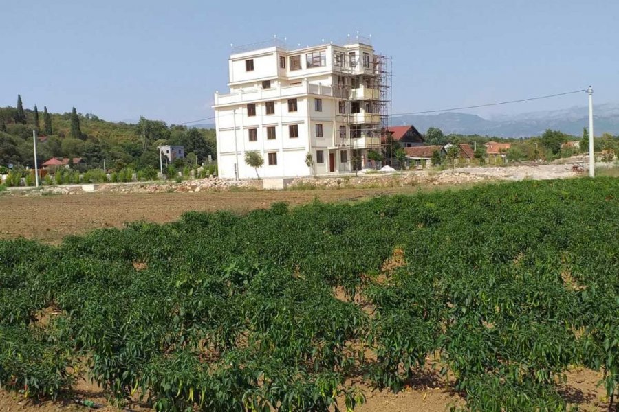 1630067966kdysvno2b7ctzk6ti1920x1280