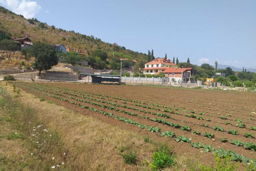 1630067907c1wumx3igabfc3nvi1920x1280